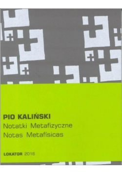 Notatki metafizyczne