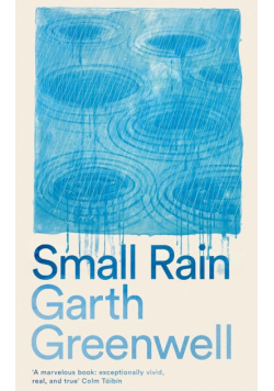 Small Rain