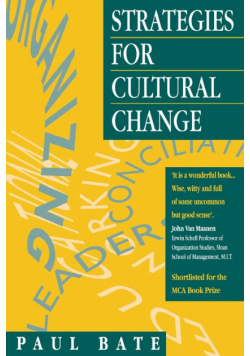 Strategies for Cultural Change