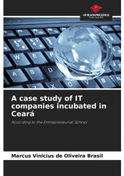 A case study of IT companies incubated in Ceará