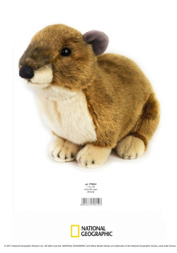 Pluszak Góralek skalny National Geographic