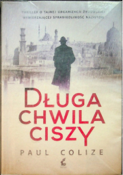 Długa chwila ciszy