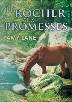 Le rocher aux promesses