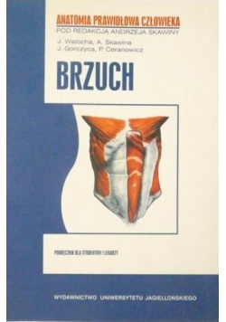 Brzuch