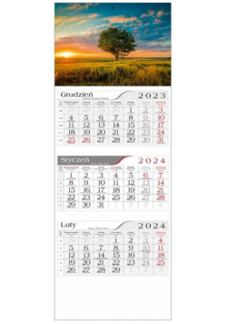 Kalendarz 2024 Trójdzielny Polne Drzewo