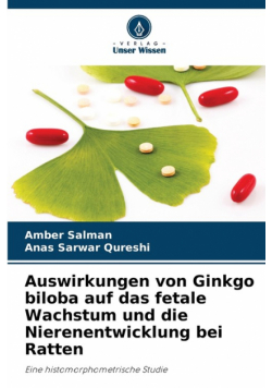 Auswirkungen von Ginkgo biloba auf das fetale Wachstum und die Nierenentwicklung bei Ratten