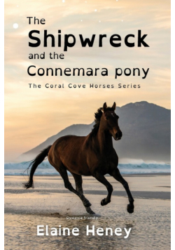 The Shipwreck and the Connemara Pony - Dyslexia Friendly