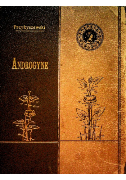 Androgyne 1900 r.