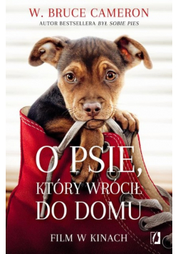O psie który wrócił do domu
