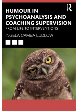 Humour in Psychoanalysis and Coaching Supervision