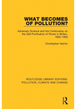 What Becomes of Pollution?