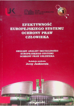 Efektywność europejskiego systemu ochrony praw człowieka