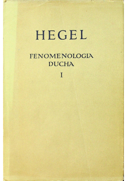 Fenomenologia ducha I