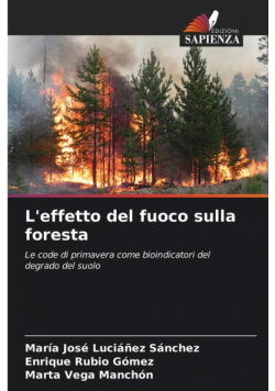 L'effetto del fuoco sulla foresta