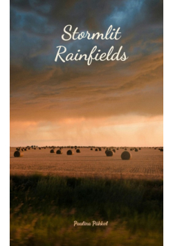 Stormlit Rainfields