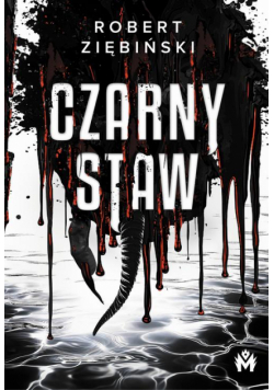 Czarny Staw