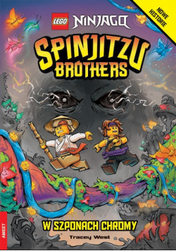 Lego Ninjago Spinjitzu Brothers W szponach Chromy
