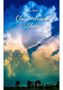 Cloud-draped Skies