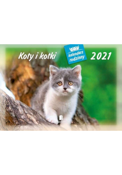 Kalendarz 2021 Rodzinny Koty i kotki WL9