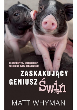 Zaskakujący geniusz świń