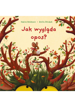Jak wygląda opos?