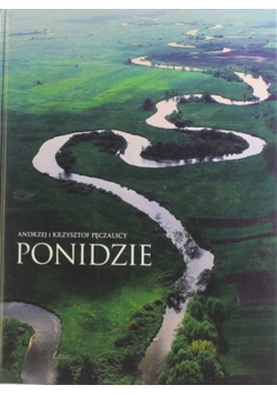 Ponidzie