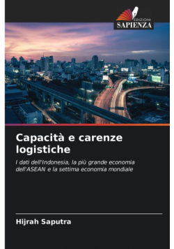 Capacità e carenze logistiche
