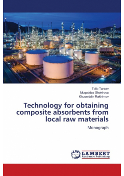 Technology for obtaining composite absorbents from local raw materials