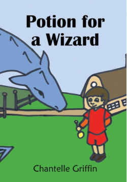 Potion for a Wizard