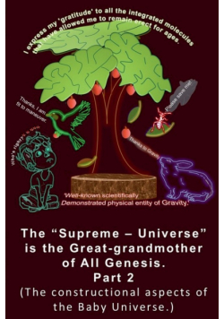 The "Supreme - Universe" is the Great-grandmother of All Genesis, Part 2. The constructional aspects of the Baby Universe.