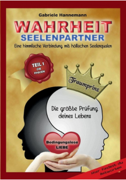 Wahrheit Seelenpartner Teil 1 (Die Phasen)