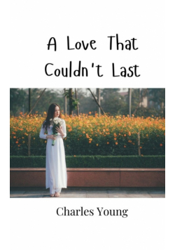 A Love That Couldn't Last