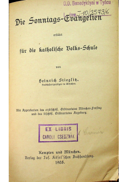 Die Sonntags evangelien 1905 r