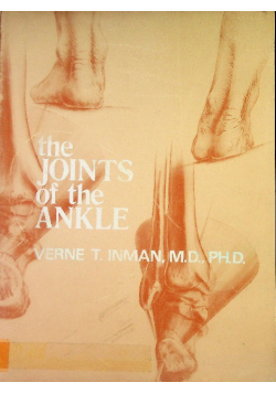 The Joints of the Ankle