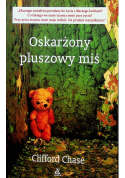 Oskarżony pluszowy miś