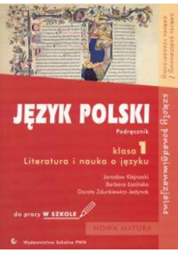 Język polski 1 Literatura i nauka o języku podręcznik do pracy w szkole