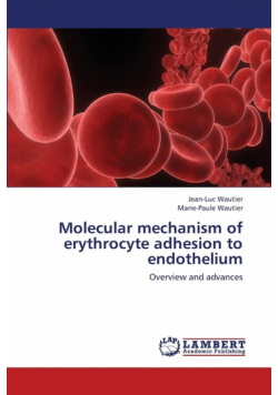 Molecular Mechanism of Erythrocyte Adhesion to Endothelium