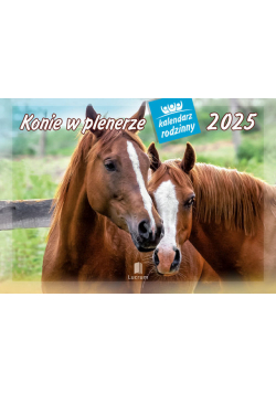 Kalendarz 2025 rodzinny WL10 Konie w plenerze