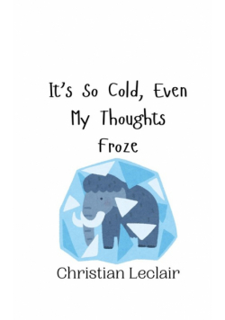 It's So Cold, Even My Thoughts Froze