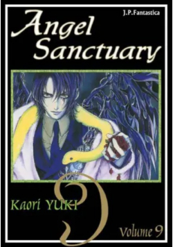 Angel Sanctuary Tom 9