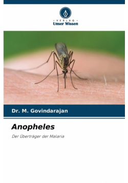 Anopheles