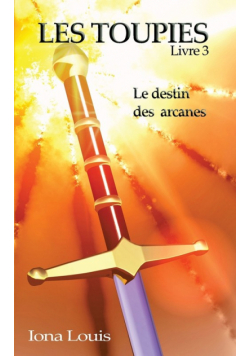 Les toupies 3