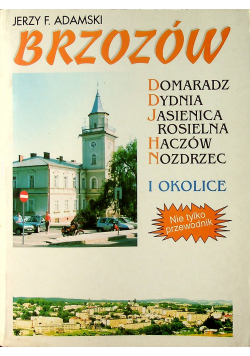Brzozów Domaradz Dydnia i okolice