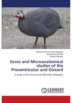 Gross and Microanatomical studies of the Proventriculus and Gizzard