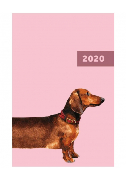Kalendarz 2020 A5 dzienny Overgrown NARCISSUS