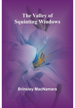 The Valley of Squinting Windows