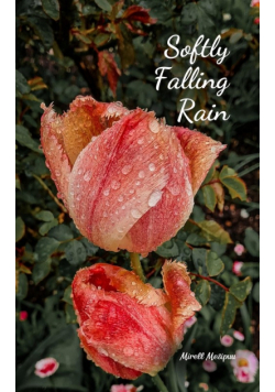 Softly Falling Rain