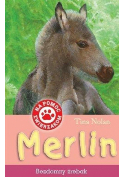Merlin : Bezdomny źrebak