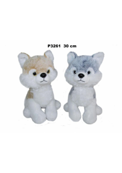 Pies husky 30cm MIX