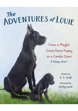 The Adventures of Louie